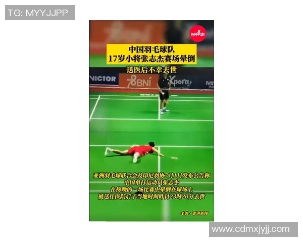 羽毛球赛事战术创新及运动员适应性分析 羽毛球赛事战术创新及运动员适应性分析