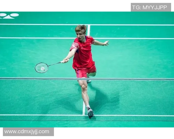 羽毛球运动员战术执行与心理调节对竞技表现与稳定性的影响研究