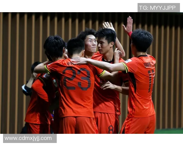 足球世界杯赛事文化与球迷反应的多维探讨与全球共鸣